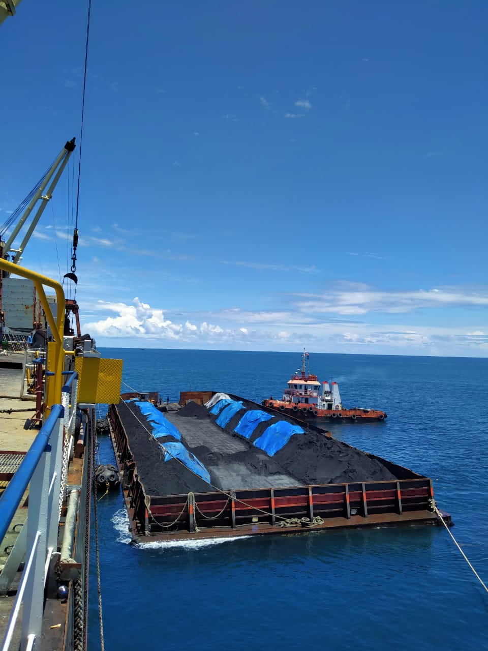 Specialized Bulk Commodity Transportation